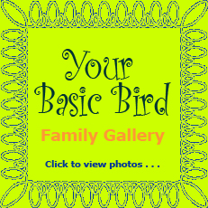 YBb Family photos