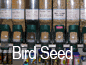 Bird Food